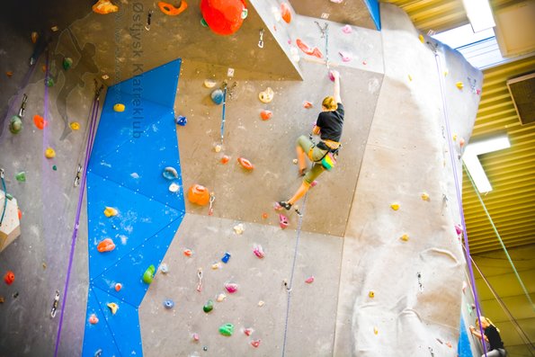 Junior Vintertraef-230