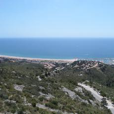 SAMSUNG CAMERA PICTURES