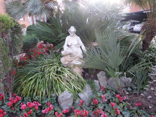 SAMSUNG CAMERA PICTURES