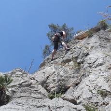 SAMSUNG CAMERA PICTURES