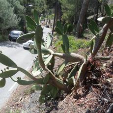 SAMSUNG CAMERA PICTURES