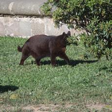 SAMSUNG CAMERA PICTURES