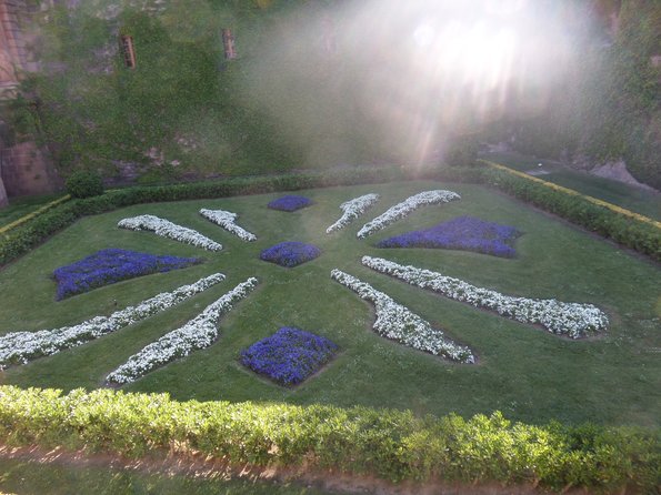 SAMSUNG CAMERA PICTURES