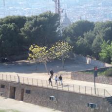 SAMSUNG CAMERA PICTURES