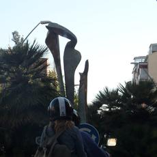 SAMSUNG CAMERA PICTURES