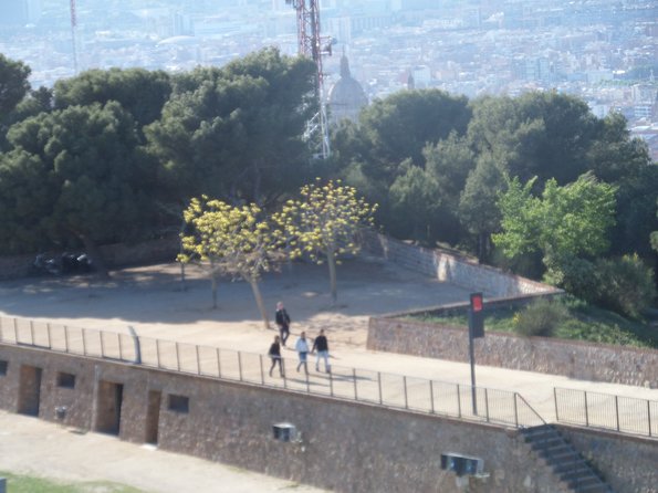 SAMSUNG CAMERA PICTURES