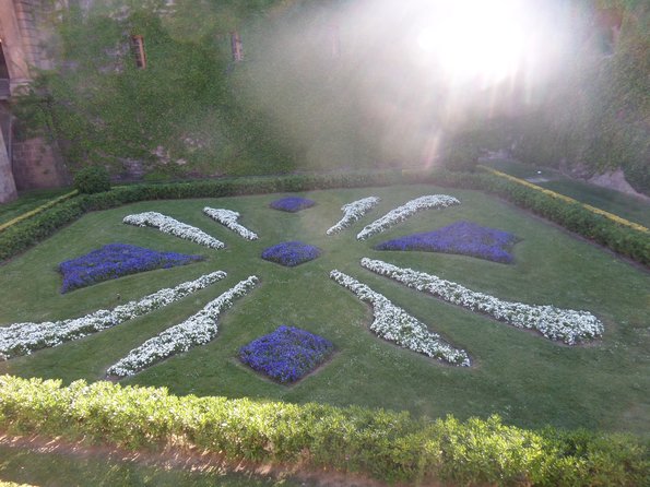 SAMSUNG CAMERA PICTURES