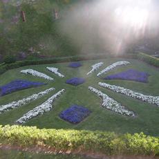 SAMSUNG CAMERA PICTURES