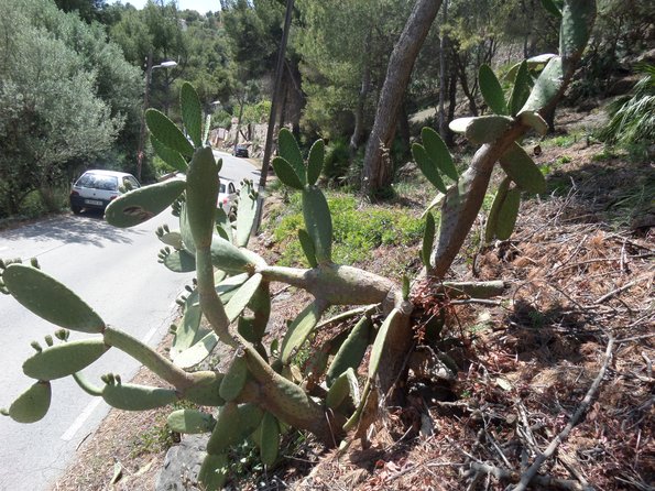 SAMSUNG CAMERA PICTURES