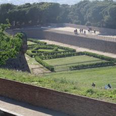 SAMSUNG CAMERA PICTURES