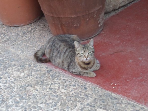 SAMSUNG CAMERA PICTURES