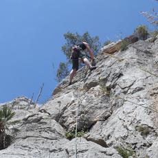 SAMSUNG CAMERA PICTURES