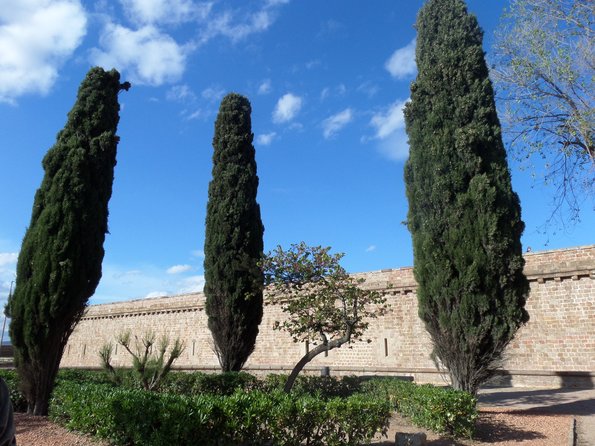 SAMSUNG CAMERA PICTURES