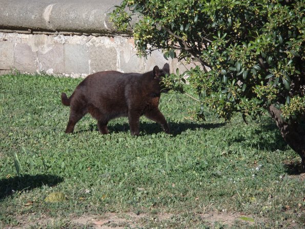 SAMSUNG CAMERA PICTURES