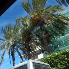 SAMSUNG CAMERA PICTURES