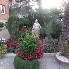 SAMSUNG CAMERA PICTURES