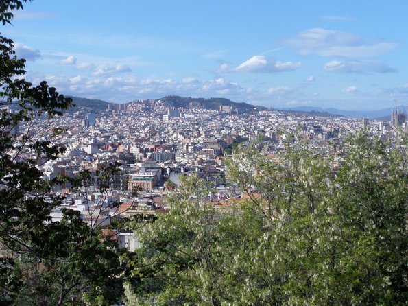 SAMSUNG CAMERA PICTURES