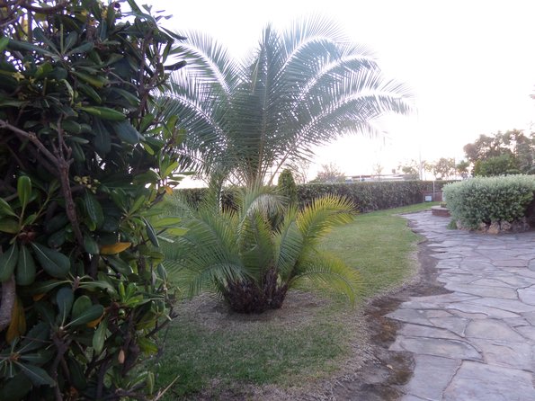 SAMSUNG CAMERA PICTURES