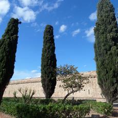 SAMSUNG CAMERA PICTURES