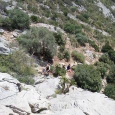 SAMSUNG CAMERA PICTURES