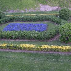 SAMSUNG CAMERA PICTURES