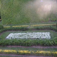 SAMSUNG CAMERA PICTURES