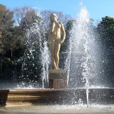 SAMSUNG CAMERA PICTURES