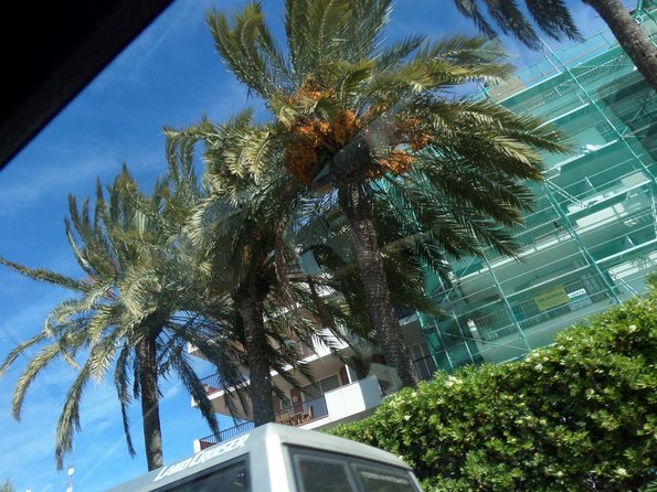 SAMSUNG CAMERA PICTURES