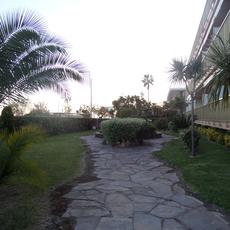 SAMSUNG CAMERA PICTURES