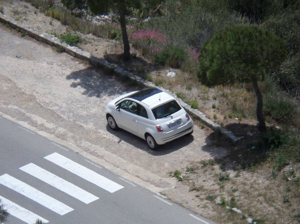 SAMSUNG CAMERA PICTURES