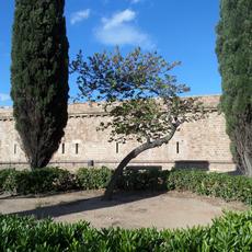 SAMSUNG CAMERA PICTURES