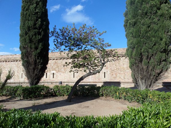 SAMSUNG CAMERA PICTURES