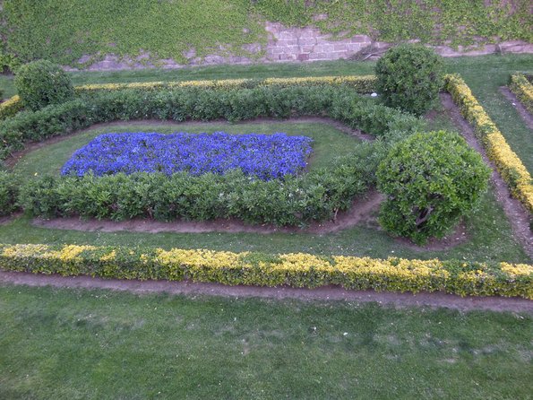 SAMSUNG CAMERA PICTURES