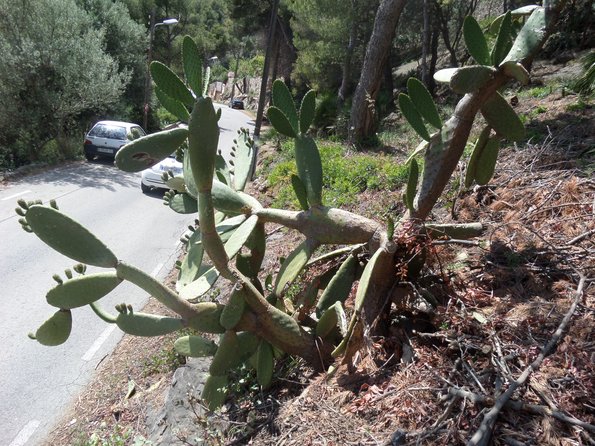 SAMSUNG CAMERA PICTURES